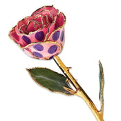 Gold Dipped Pink & Purple Polka Dot Rose Coated in Lacquer - Larson Jewelers