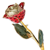 Gold Dipped Lacquered Red & White Rose with Hole Pattern - Larson Jewelers