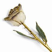 Gold Dipped Lacquered White & Twilight Pearl Rose - Larson Jewelers