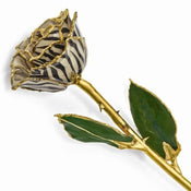 Gold Dipped Cream & Black Zebra Print Rose with Lacquer Coating - Larson Jewelers