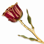 Gold Dipped Abracadabra Rose Coated in Lacquer - Larson Jewelers