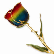 Lacquer Coated Rainbow Rose Dipped in Gold - Larson Jewelers