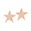 10K Rose Gold 1/20 Ctw Diamond Twinkle Star Earrings - Larson Jewelers