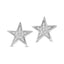 10K White Gold 1/20 Ctw Diamond Twinkle Star Earrings - Larson Jewelers