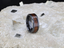 KONY Black Titanium Polished Beveled Edges Black Walnut Wood Inlaid Men’s Wedding Ring - 6mm & 8mm